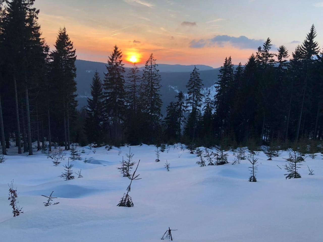 Hotel Hromovka Spindleruv Mlyn Bagian luar foto