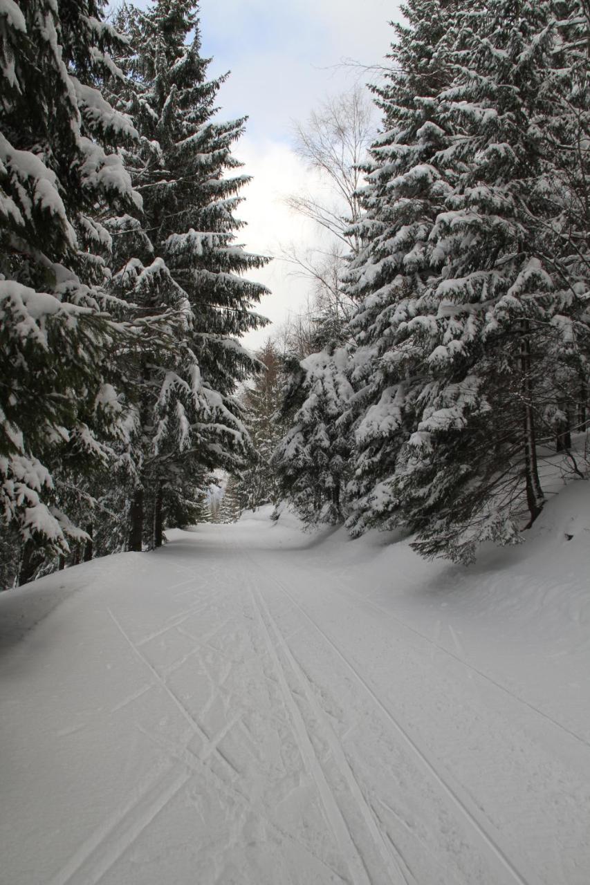 Hotel Hromovka Spindleruv Mlyn Bagian luar foto